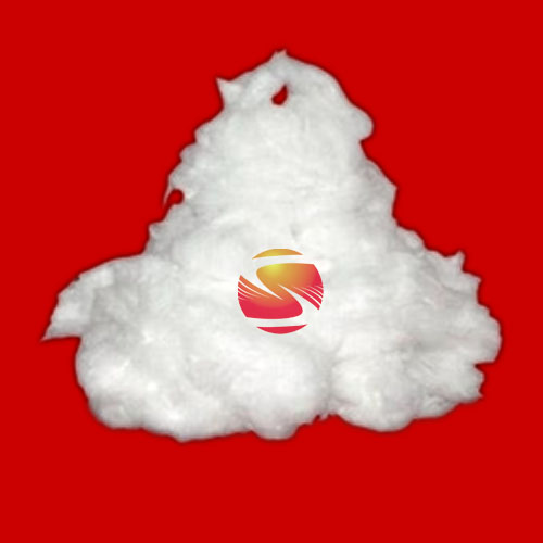 �մ��w�Sɢ��