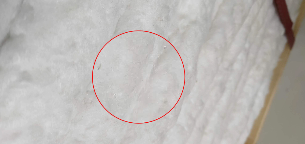 ���������մ��w�Sģ�K�����ӵ�Ӱ푣�